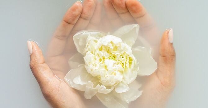 What to Expect at Your First Acupuncture Appointment image