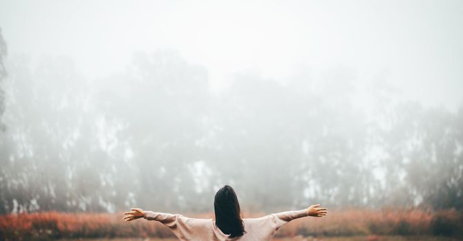 How Acupuncture Supports Whole-Body Health image