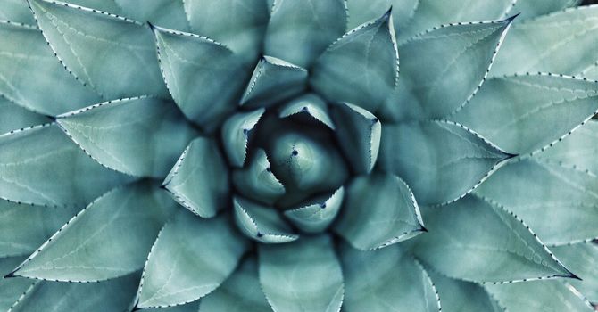 What Acupuncture Treats image