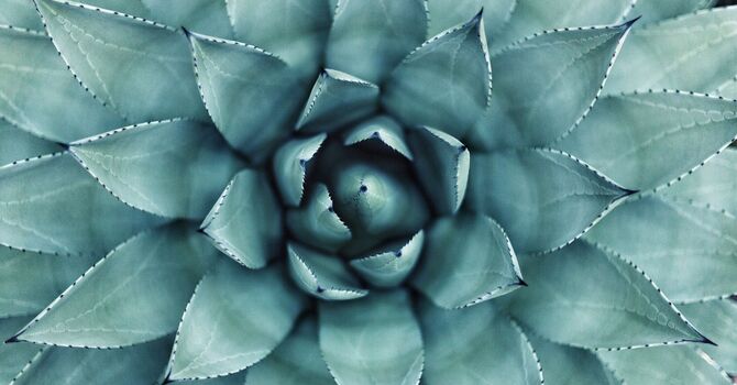 Menopause: Symptoms, Treatments & How Acupuncture Can Help image