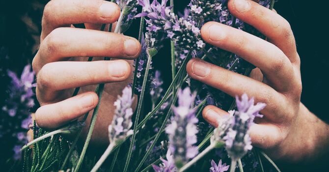 How Acupuncture Can Help During Perimenopause